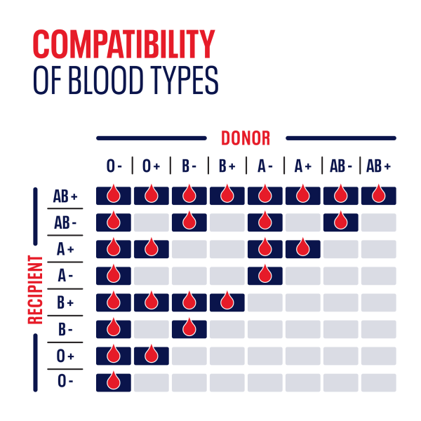 How Do Blood Types Work?